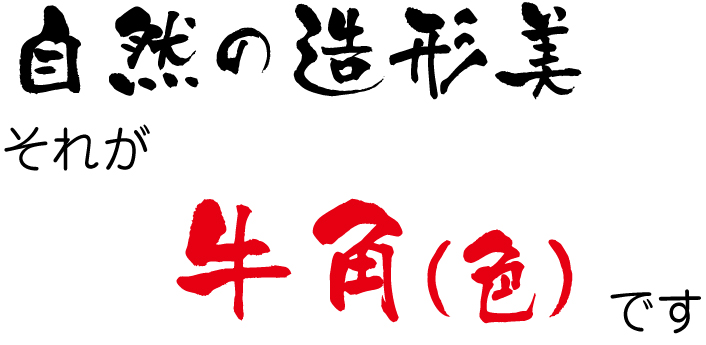 自然の造形美 うしのつの 色